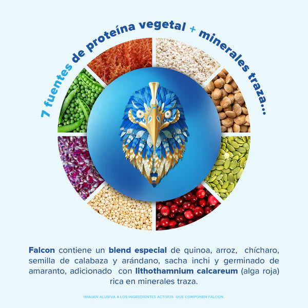 Birdman Falcon Protein Chocolate 1.8 kg | Proteína Vegetal Orgánica en Polvo | 60 Porciones