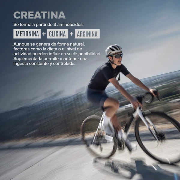 Birdman Creatina Monohidratada en Cápsulas 125 piezas | Creatina Micronizada Pura | 25 Porciones