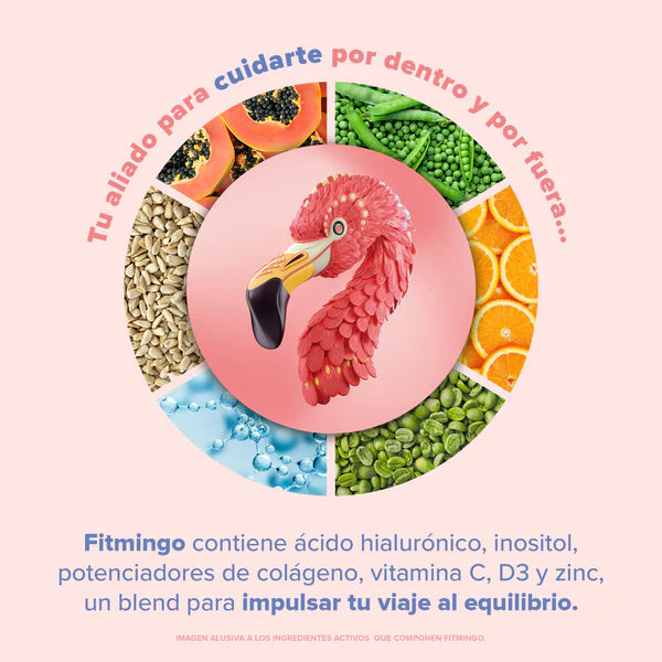 Birdman Fitmingo Protein Moka 1.02 kg | Proteína Vegetal con Inositol y Vitaminas | 30 Porciones