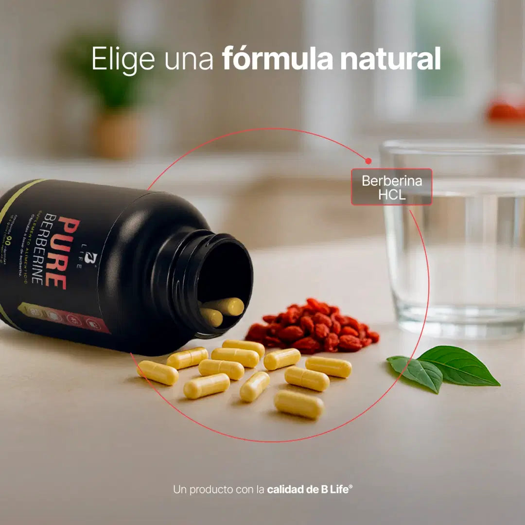Berberina HCL Pura 500 mg por cápsula | 1000 mg por porción