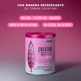 Birdman Creatine Electrolyte Refresher Pink Lemonade 300 g | Creatina Monohidratada con Electrolitos | 30 Porciones