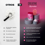 Birdman Creatine Electrolyte Refresher Pink Lemonade 300 g | Creatina Monohidratada con Electrolitos | 30 Porciones