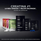 Birdman Creatina Monohidratada en Cápsulas 125 piezas | Creatina Micronizada Pura | 25 Porciones