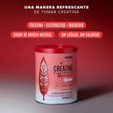 Birdman Creatine Electrolyte Refresher Watermelon Splash 300 g | Creatina Monohidratada con Electrolitos y Magnesio | 30 Porciones
