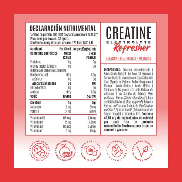 Birdman Creatine Electrolyte Refresher Watermelon Splash 300 g | Creatina Monohidratada con Electrolitos y Magnesio | 30 Porciones