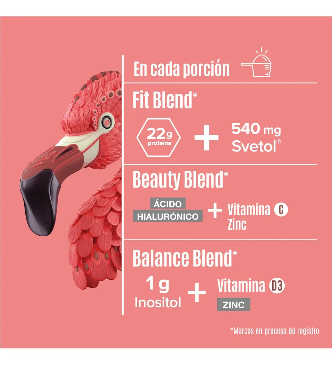 Birdman Proteína Vegetal Fitmingo 510g By Ale Rubio Sabor Moka