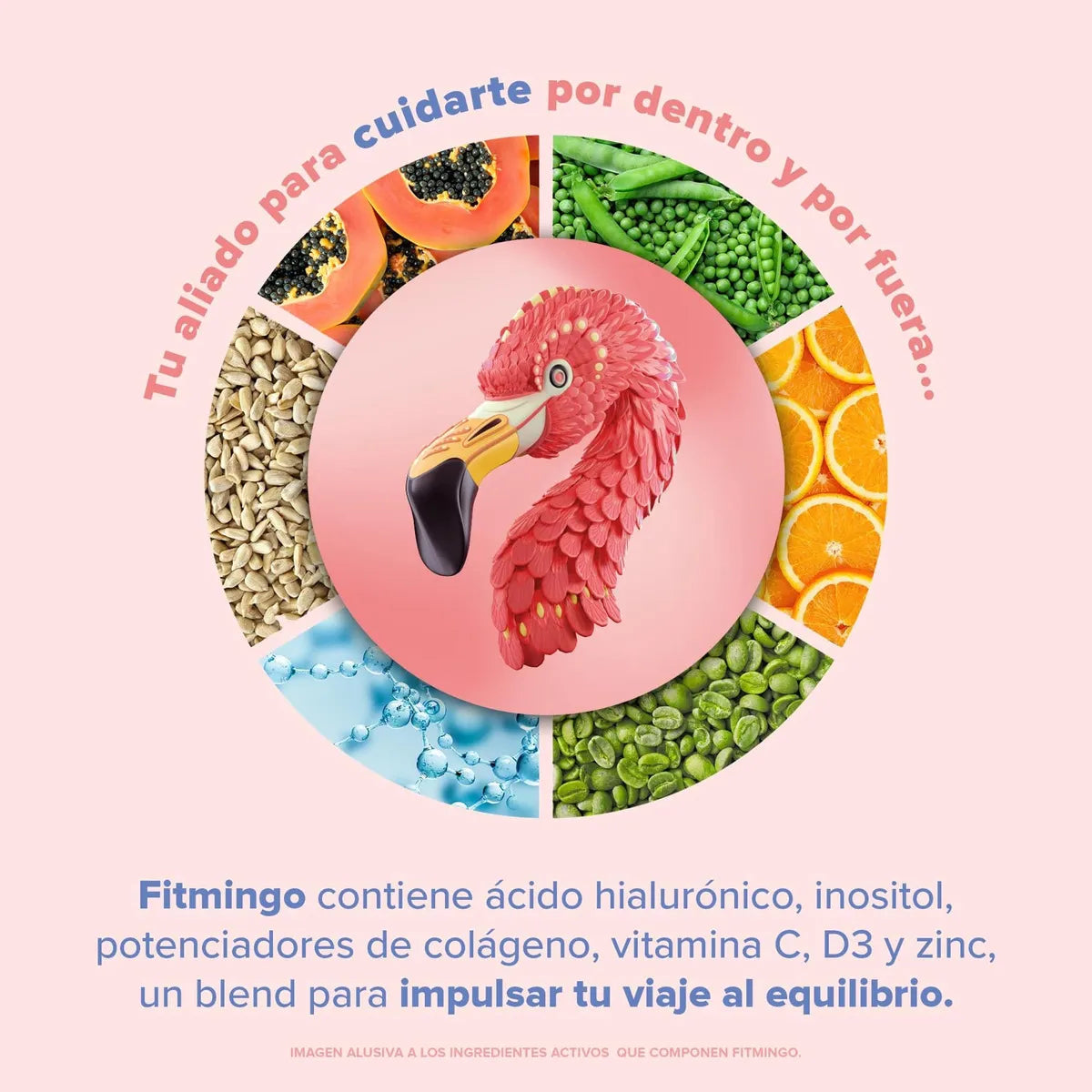 Birdman Fitmingo Proteína Polvo 510g Sabor Blueberry