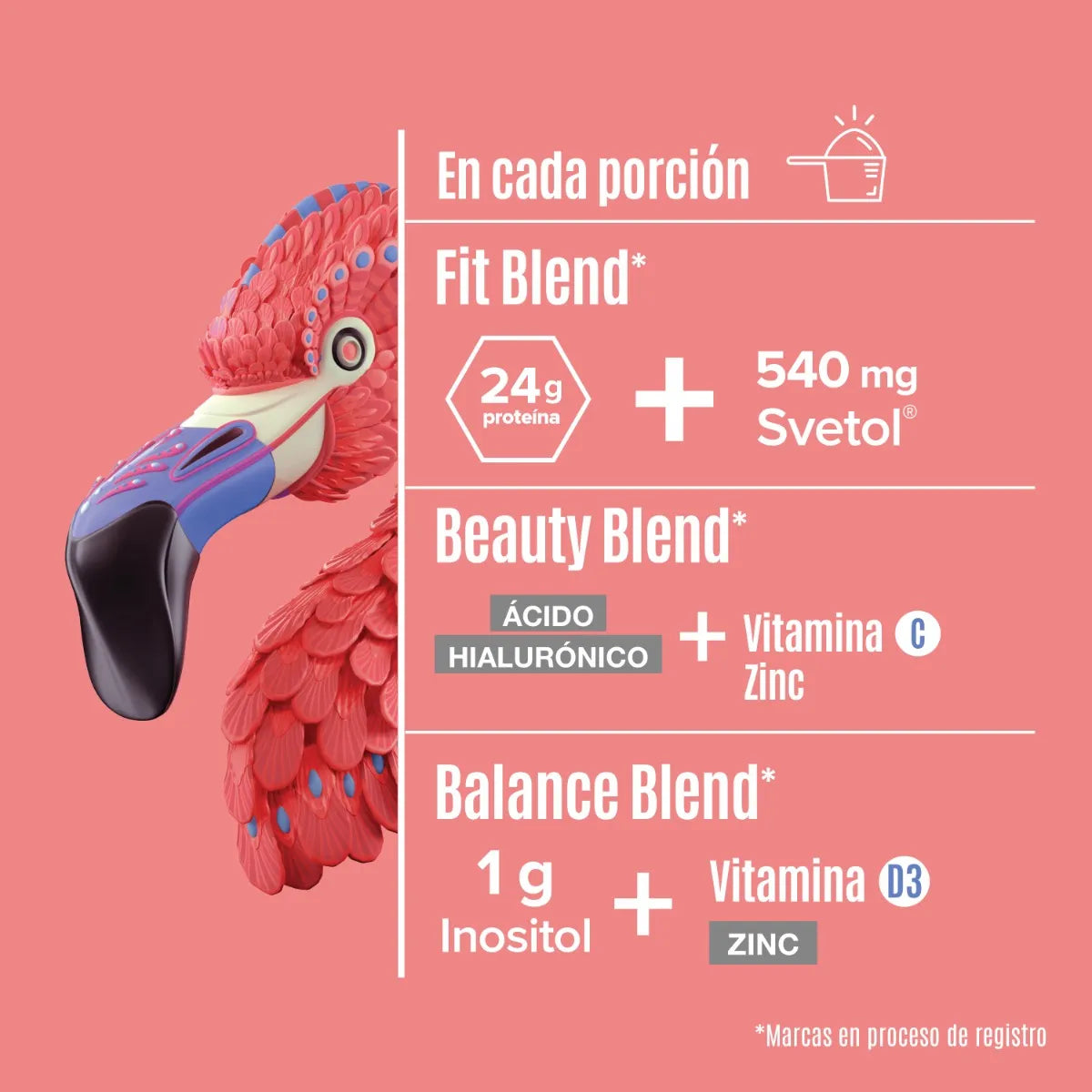 Birdman Fitmingo Proteína Polvo 510g Sabor Blueberry