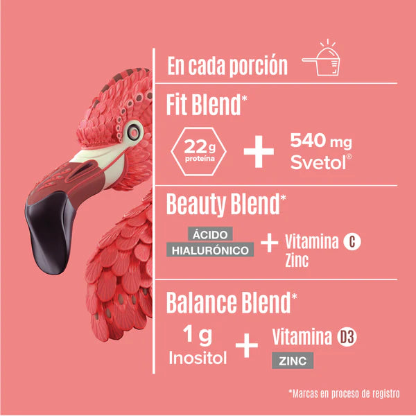 Birdman Fitmingo Protein Moka 1.02 kg | Proteína Vegetal con Inositol y Vitaminas | 30 Porciones