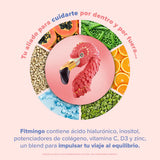 Birdman Fitmingo Protein Moka 1.02 kg | Proteína Vegetal con Inositol y Vitaminas | 30 Porciones